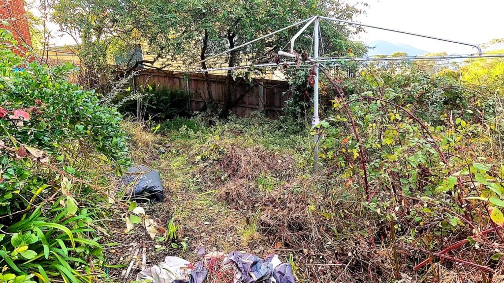 【八戸の外構】毎年の草むしりから解放！失敗しない雑草対策とお庭づくり